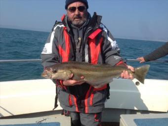 11 lb Pollock by Ian Brophy