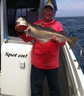 12 lb Pollock by Alan Hill