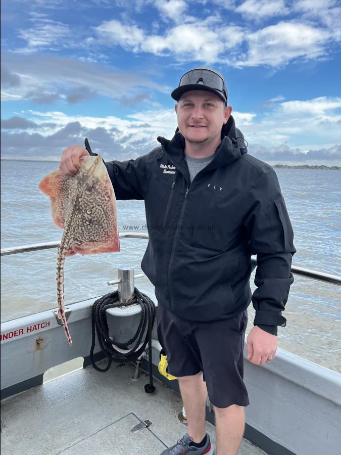 7 lb 5 oz Thornback Ray by Unknown