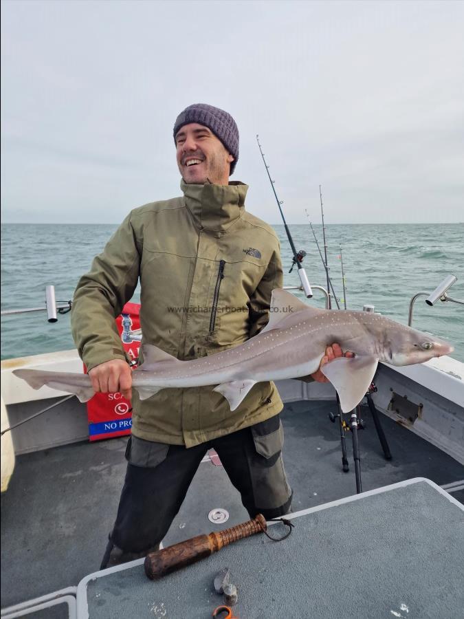 14 lb Starry Smooth-hound by Adam