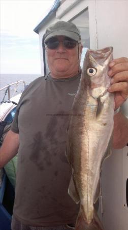 3 lb 8 oz Pollock by mogger kev caught 8th aug around flamboro head