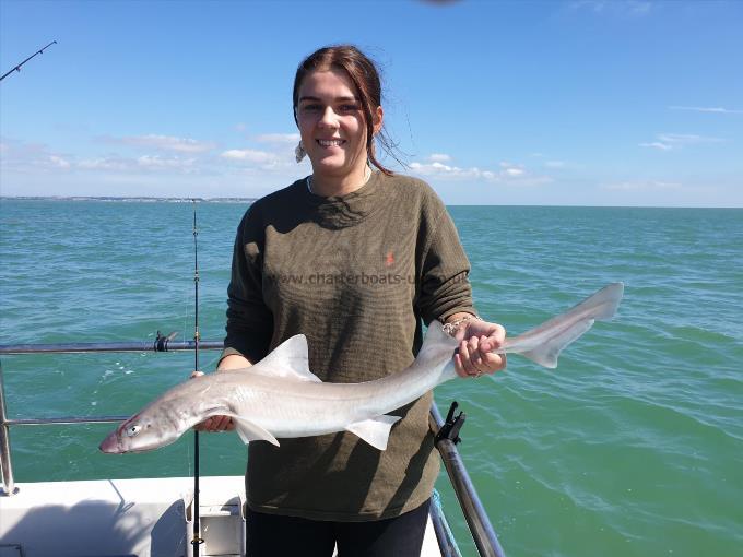 7 lb Smooth-hound (Common) by Bob Marshall