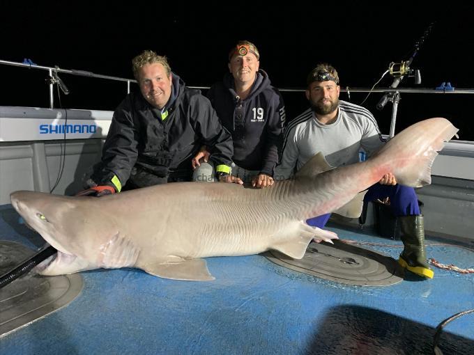 410 lb Six Gill Shark by Kevin McKie