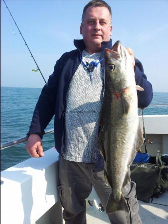 8 lb 6 oz Pollock by Unknown