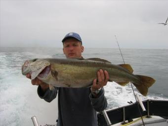 13 lb Pollock by Chalie Harris