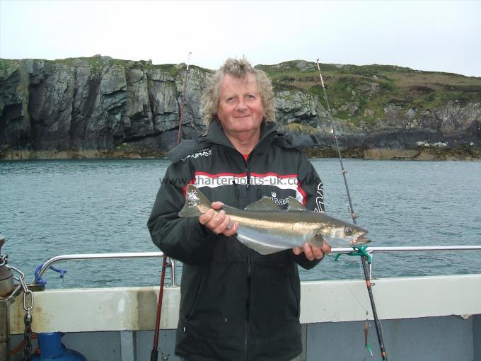 4 lb Pollock by Robert with a nice reef pollock.