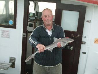 6 lb Smooth-hound (Common) by John Bowers sn