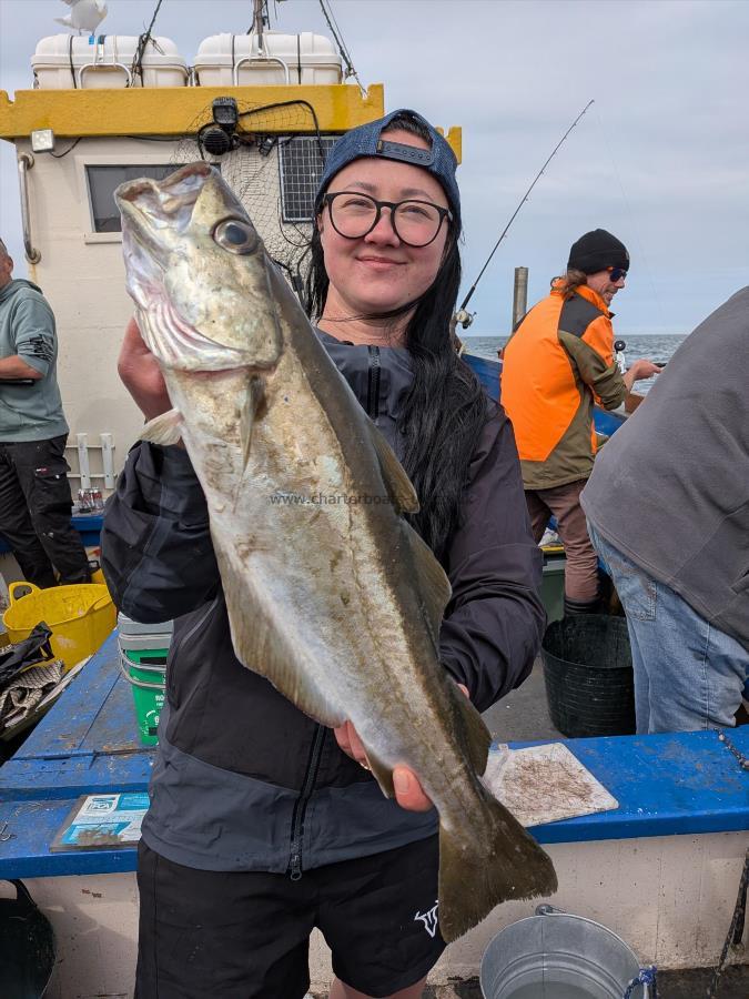 5 lb 8 oz Pollock by Unknown