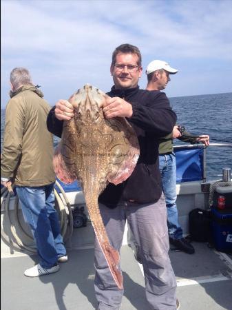 16 lb 8 oz Undulate Ray by Tom