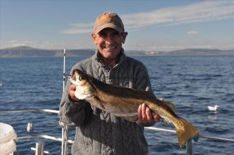 5 lb 5 oz Pollock by Bob Chaffe from Richmond