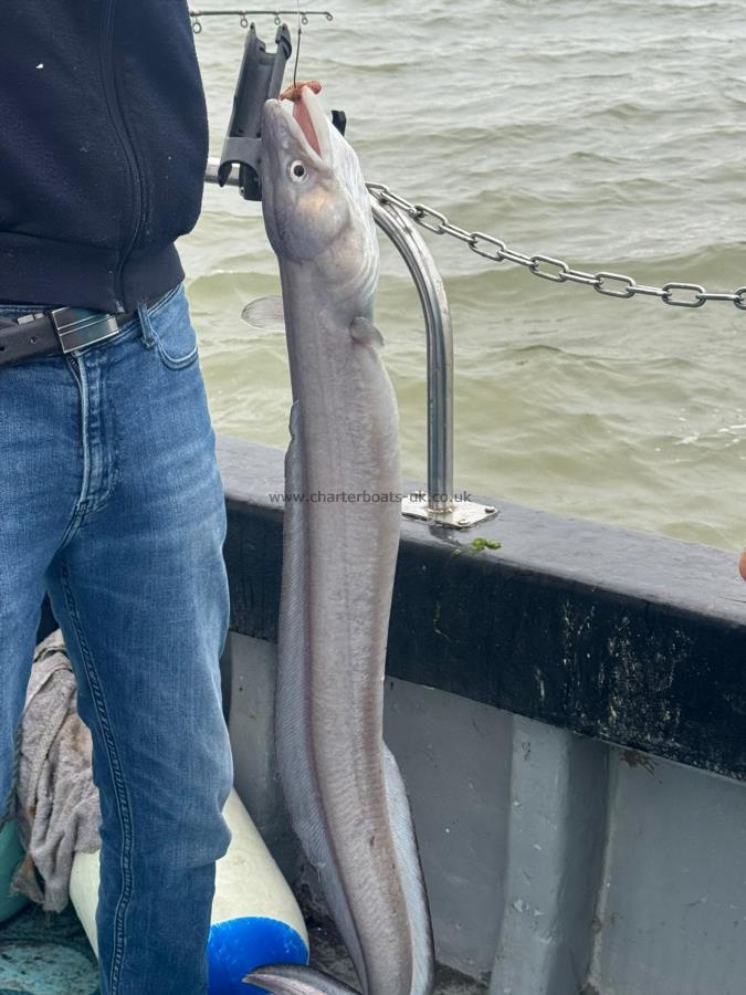 6 lb 8 oz Conger Eel by Richard