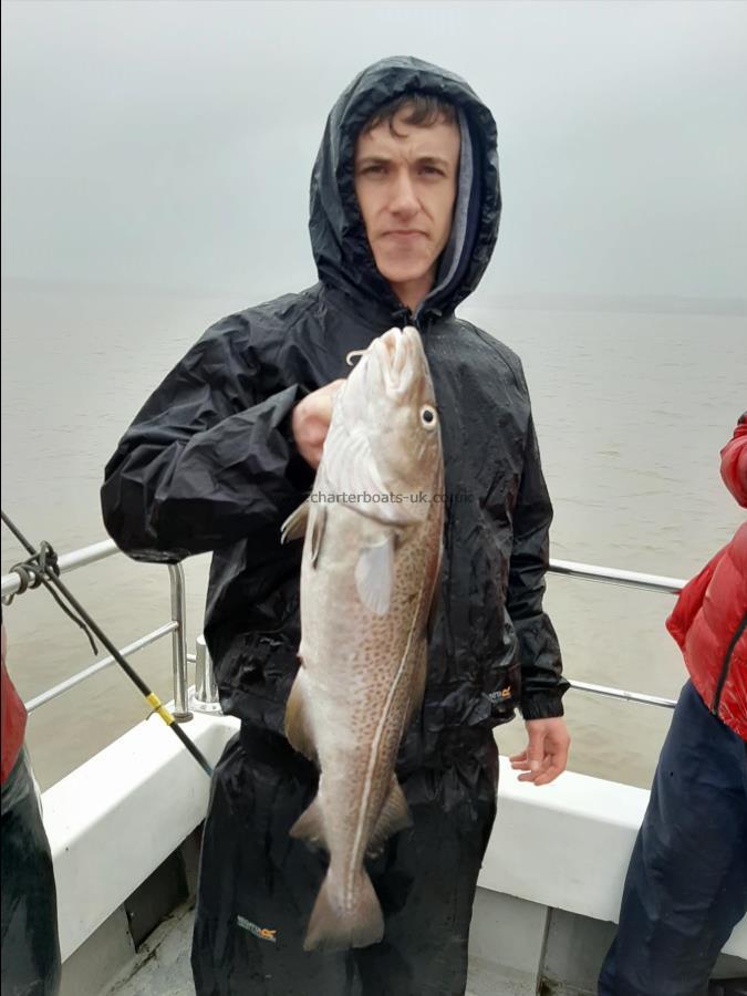 6 lb 12 oz Cod by Unknown