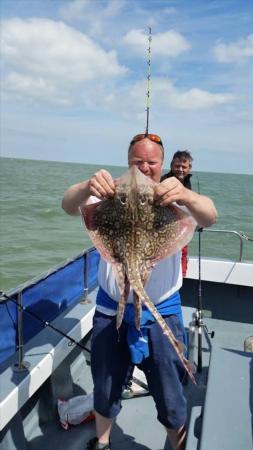 5 lb Starry Skate by Unknown