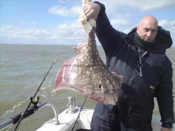 13 lb 5 oz Thornback Ray by Keith