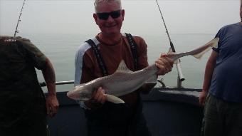 7 lb 8 oz Smooth-hound (Common) by Carl party