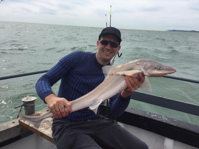 9 lb Smooth-hound by Unknown