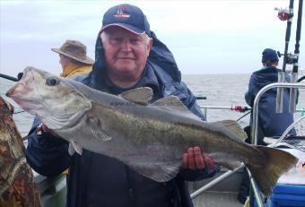 14 lb Pollock by Nick Gore