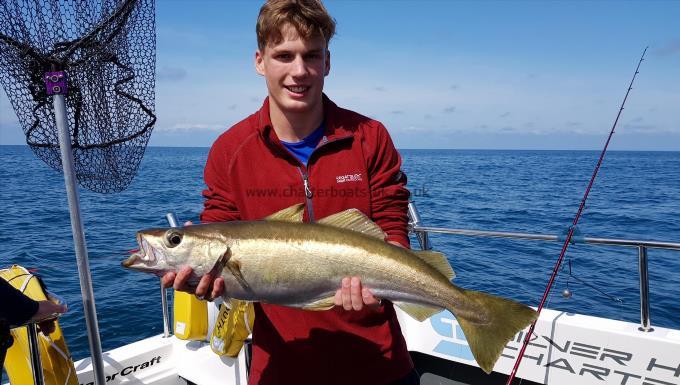 6 lb 7 oz Pollock by Unknown