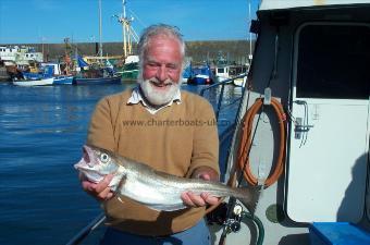3 lb 6 oz Whiting by Roy Low