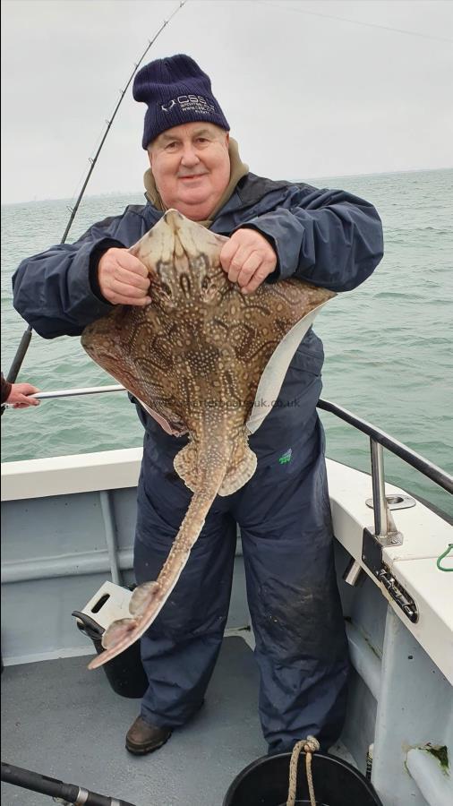 12 lb Undulate Ray by Unknown