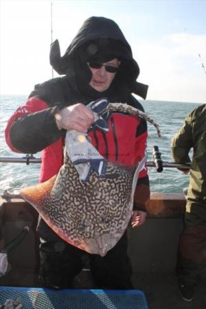 11 lb 8 oz Small-Eyed Ray by david  s