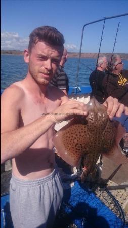 3 lb 4 oz Spotted Ray by Unknown