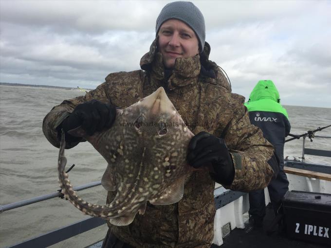 6 lb 8 oz Thornback Ray by Unknown