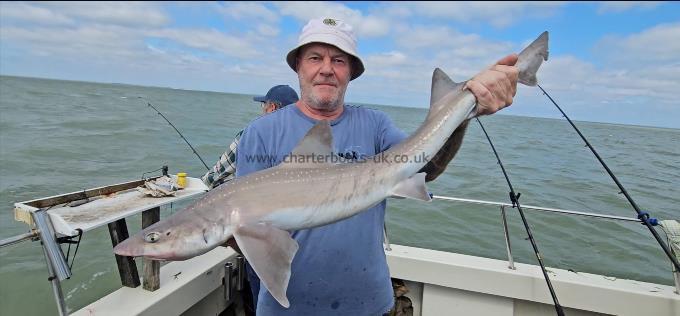 10 lb 2 oz Starry Smooth-hound by Mick