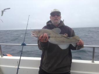 9 lb Cod by Brian Freemantle