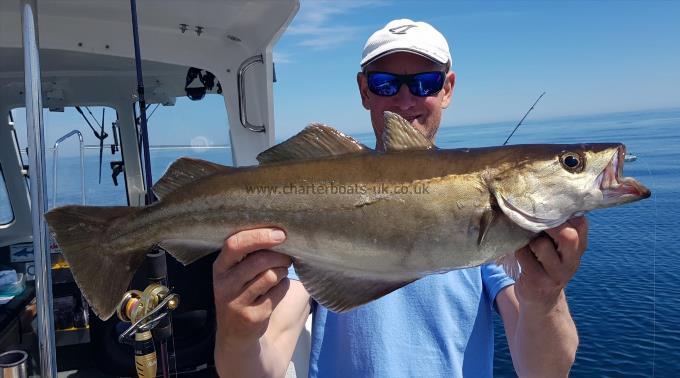 7 lb 12 oz Pollock by Matt