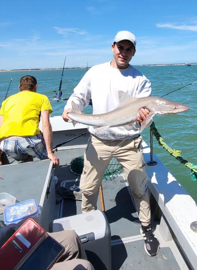 14 lb Smooth-hound (Common) by Andre