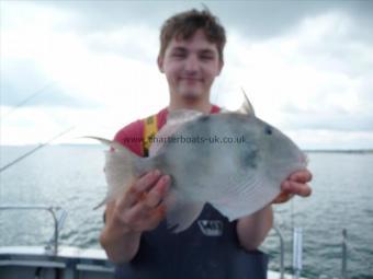 2 lb 3 oz Trigger Fish by Toby Oldfield