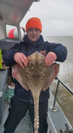 10 lb Common Skate by Carl