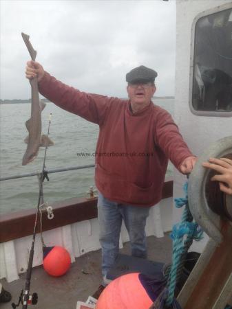 6 lb Starry Smooth-hound by John with Starry Smoothound caught on Squid
