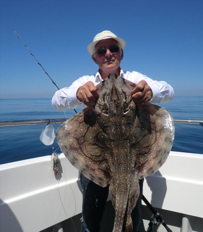 13 lb 5 oz Undulate Ray by Mike Aucock