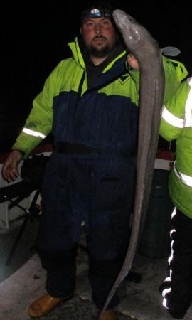 8 lb Conger Eel by Tim Smith Gosling