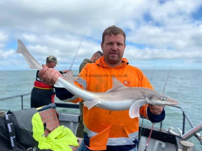 6 lb 5 oz Smooth-hound (Common) by Unknown