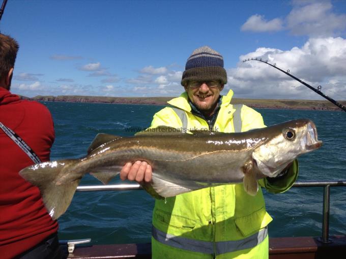 11 lb 4 oz Pollock by Dai the Fish