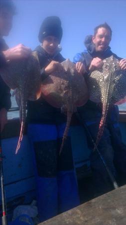 6 lb Thornback Ray by russels birthday trip