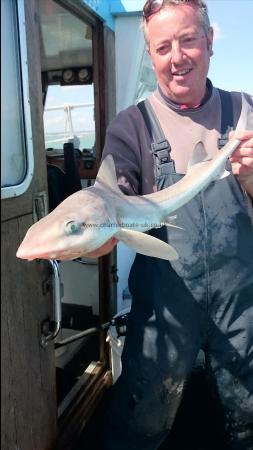 6 lb 3 oz Starry Smooth-hound by John's party
