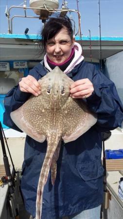 3 lb Thornback Ray by Unknown