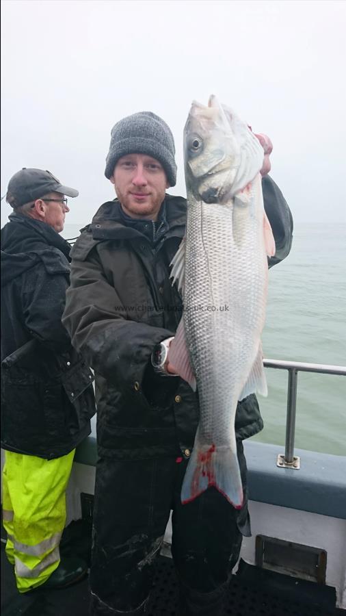 7 lb 3 oz Bass by Paul from medway