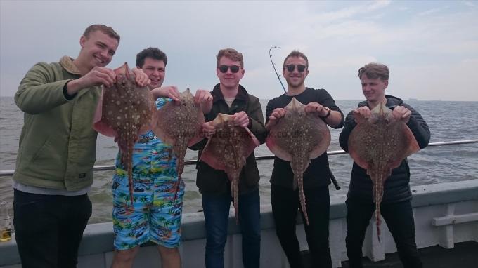 7 lb 7 oz Thornback Ray by Tonys party