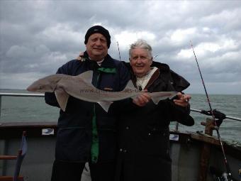 7 lb Starry Smooth-hound by Gorgeous Graham