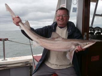 13 lb 4 oz Starry Smooth-hound by Alex Ellis