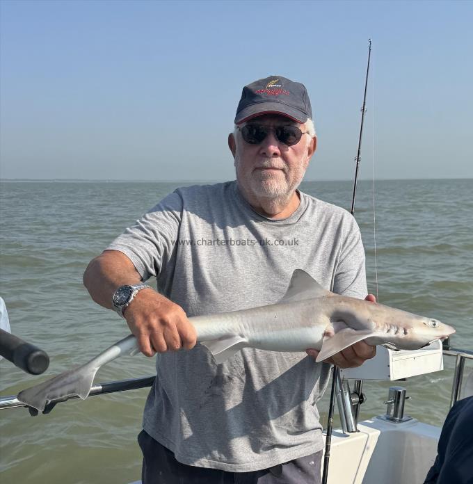 8 lb Smooth-hound by Curly