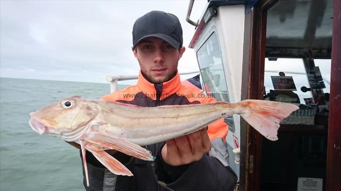 2 lb 9 oz Tub Gurnard by Dan from Kent