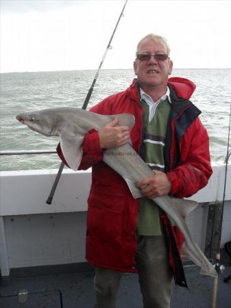 18 lb 10 oz Starry Smooth-hound by Mark Hutchinson