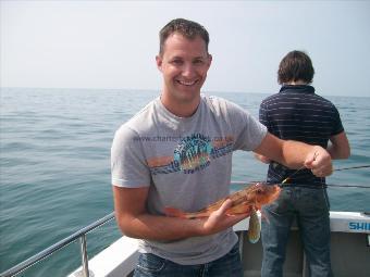 3 lb Tub Gurnard by Ashley