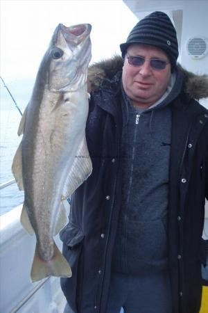 11 lb 8 oz Pollock by Robin